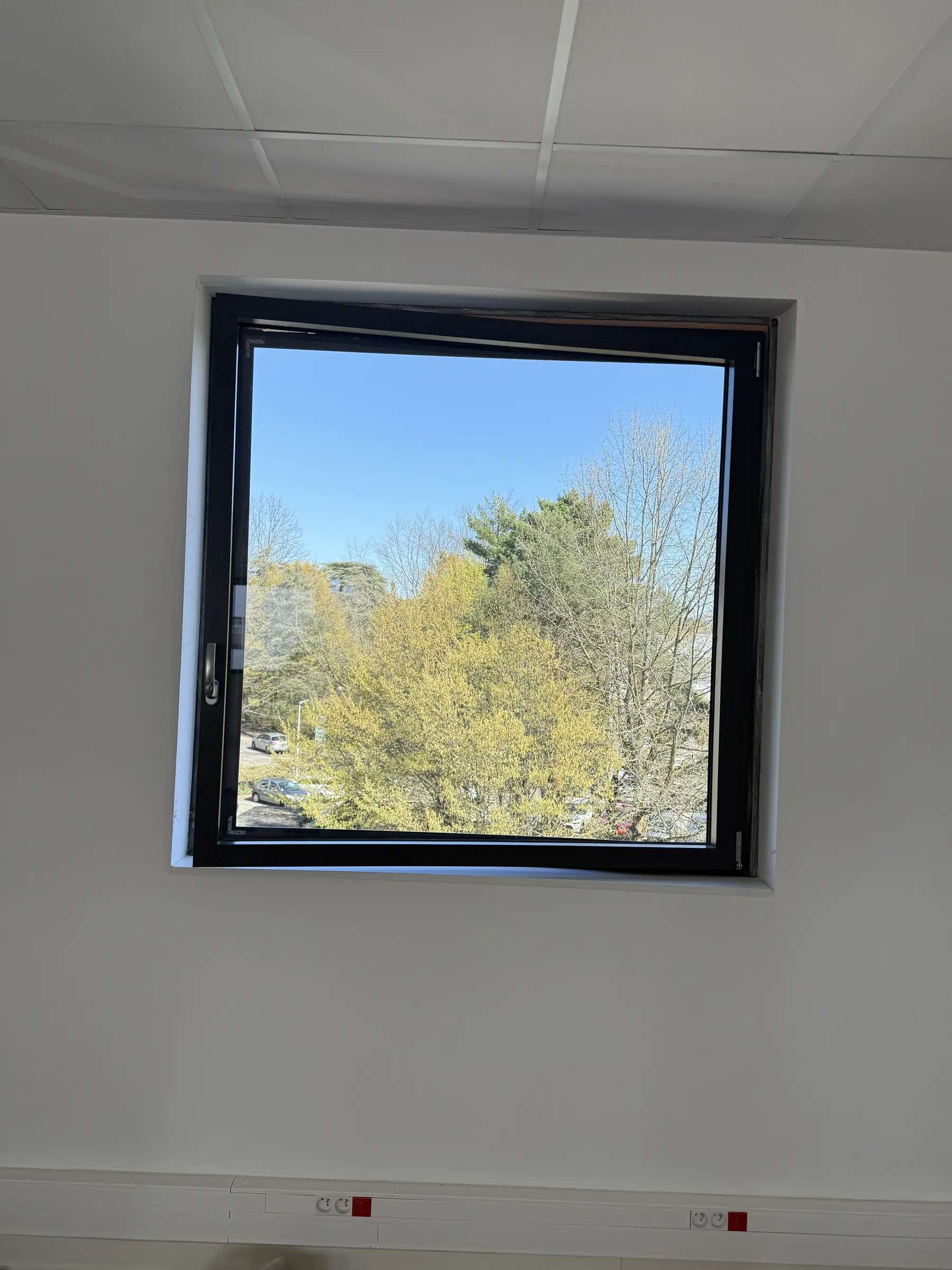 Fenêtre aluminium noire carrée vue de face dans un mur blanc de bureau, arbres derrière