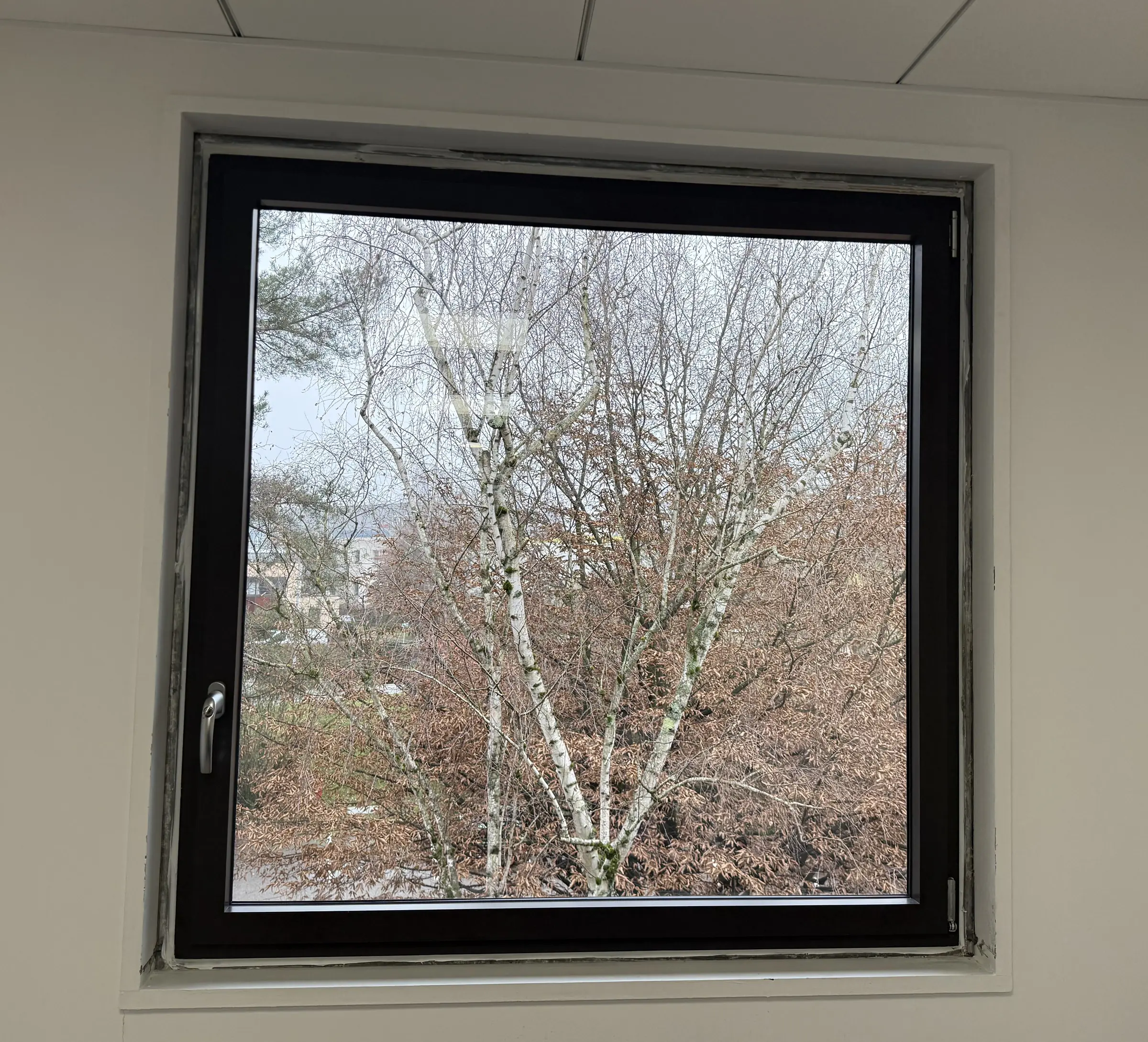 Fenêtre aluminium brun foncé à un vantail, poignée à gauche, dans un mur blanc de bureau sous un plafond à dalles